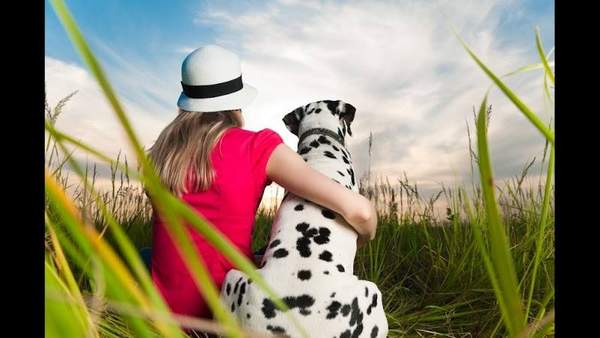 Mobile on the Spot Storage