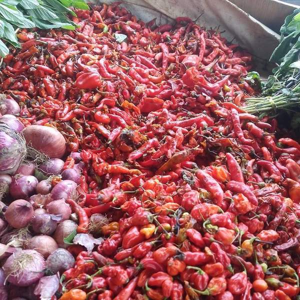 Container Depot Knoxville