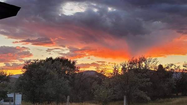 Say Where Storage Containers