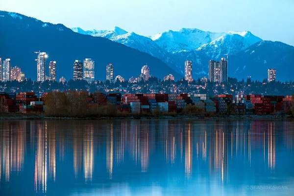 MKV International Trading