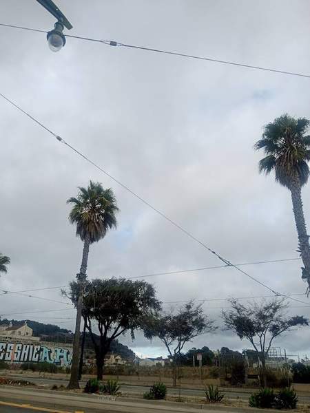 Bayshore Container Store