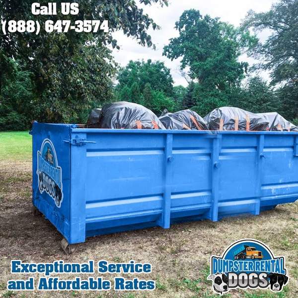 Dumpster Rental Dogs - Savannah